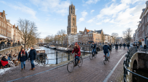 Snoeien in maart : waarom deze maand ideaal is voor gezonde planten